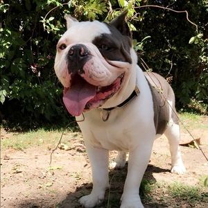 Meet your Posher, Clarine